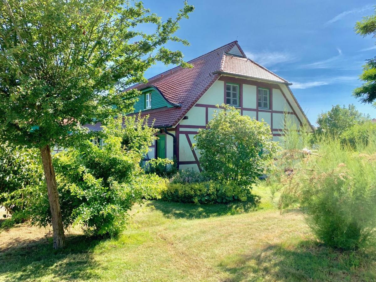 Strandnahe Ferienwohnung Ruegen Dranske Exterior photo